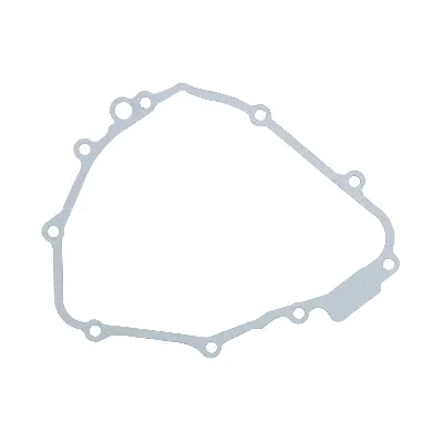 Zaptivka poklopca alternatora WINDEROSA W331007 IC-G0OIPS