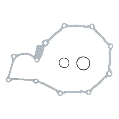 Zaptivka poklopca alternatora WINDEROSA W331011 IC-G0OIPU