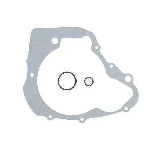 Zaptivka poklopca alternatora WINDEROSA W331026 IC-G0OIQ6