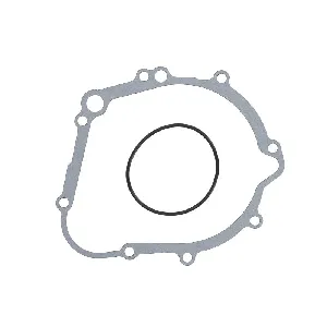 Zaptivka poklopca alternatora WINDEROSA W331060 IC-G0OIQX