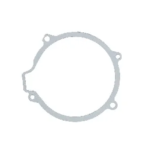 Zaptivka poklopca alternatora WINDEROSA W331071 IC-G0OIR7