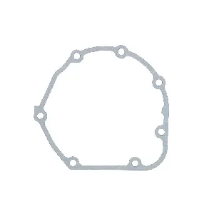 Zaptivka poklopca alternatora WINDEROSA W331087 IC-G0OIP0