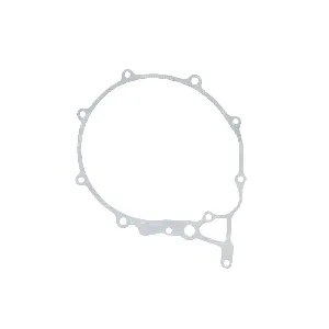 Zaptivka poklopca alternatora WINDEROSA W816024 IC-D78984