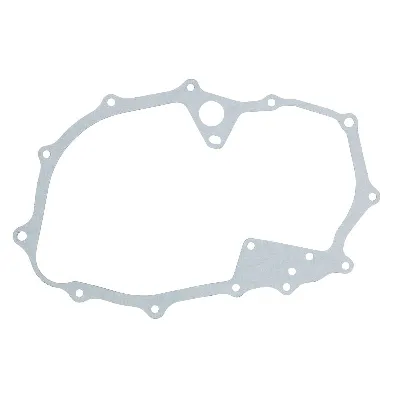 Zaptivka poklopca alternatora WINDEROSA W816042 IC-E1FE98