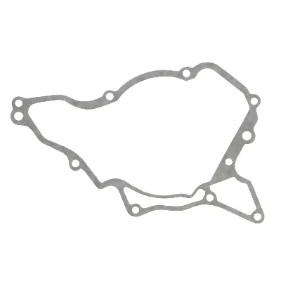 Zaptivka poklopca alternatora WINDEROSA W816058 IC-D78989