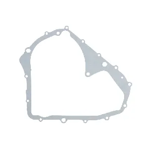 Zaptivka poklopca alternatora WINDEROSA W816096 IC-E1FE4A