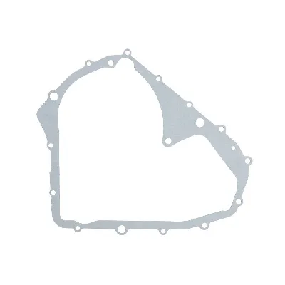 Zaptivka poklopca alternatora WINDEROSA W816096 IC-E1FE4A