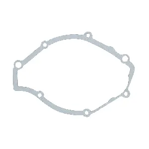 Zaptivka poklopca alternatora WINDEROSA W816098 IC-D789B5