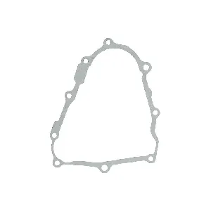 Zaptivka poklopca alternatora WINDEROSA W816107 IC-E1FE4D