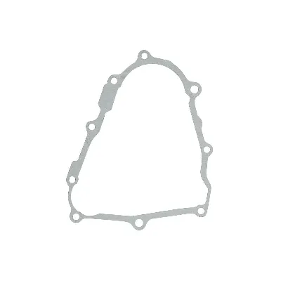 Zaptivka poklopca alternatora WINDEROSA W816107 IC-E1FE4D