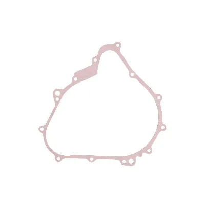 Zaptivka poklopca alternatora WINDEROSA W816116 IC-E1FE4F