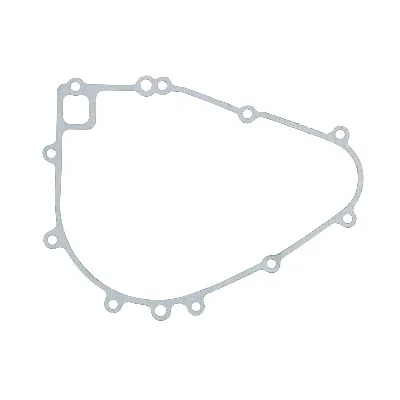 Zaptivka poklopca alternatora WINDEROSA W816124 IC-E1FE51