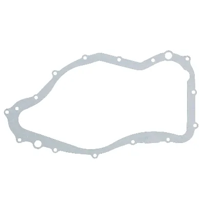 Zaptivka poklopca alternatora WINDEROSA W816131 IC-E1FE54