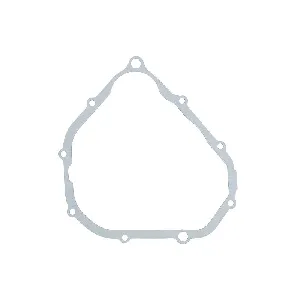 Zaptivka poklopca alternatora WINDEROSA W816133 IC-E1FE55