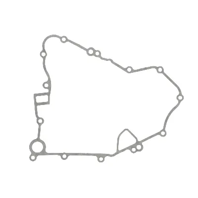 Zaptivka poklopca alternatora WINDEROSA W816136 IC-E1FE57