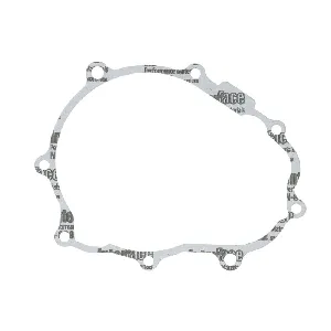 Zaptivka poklopca alternatora WINDEROSA W816142 IC-D789BD