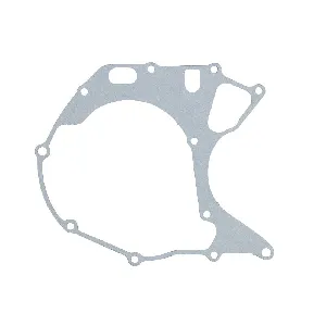 Zaptivka poklopca alternatora WINDEROSA W816153 IC-E1FE58