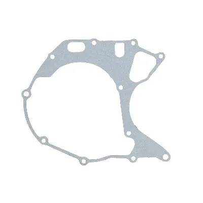 Zaptivka poklopca alternatora WINDEROSA W816153 IC-E1FE58