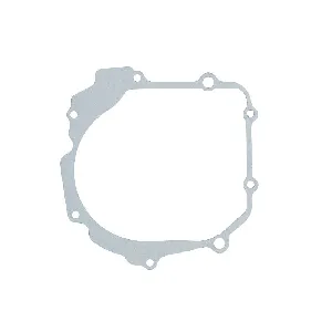 Zaptivka poklopca alternatora WINDEROSA W816159 IC-E1FE5A