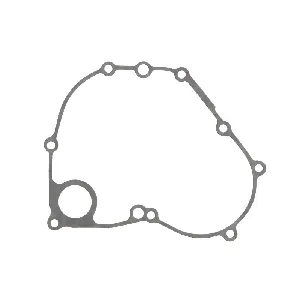 Zaptivka poklopca alternatora WINDEROSA W816170 IC-D789B0