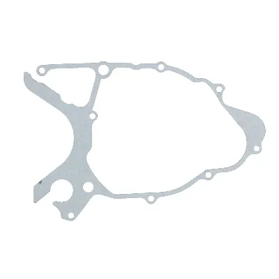 Zaptivka poklopca alternatora WINDEROSA W816178 IC-D789BA