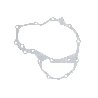 Zaptivka poklopca alternatora WINDEROSA W816192 IC-E1FE5D