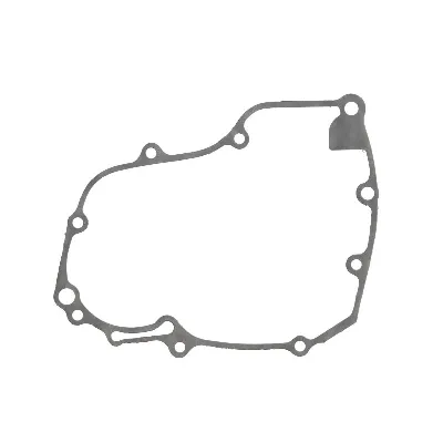 Zaptivka poklopca alternatora WINDEROSA W816193 IC-D78981