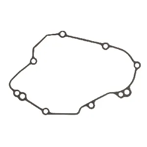 Zaptivka poklopca alternatora WINDEROSA W816199 IC-D78994