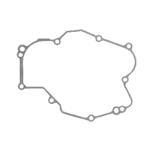 Zaptivka poklopca alternatora WINDEROSA W816222 IC-D78993