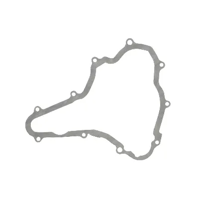 Zaptivka poklopca alternatora WINDEROSA W816246 IC-E1FE90