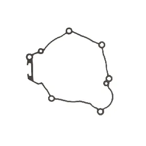 Zaptivka poklopca alternatora WINDEROSA W816318 IC-E1FE6A