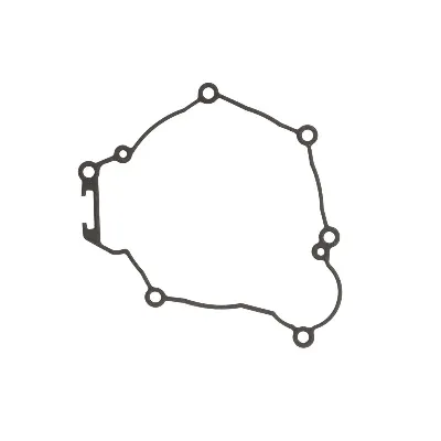 Zaptivka poklopca alternatora WINDEROSA W816318 IC-E1FE6A