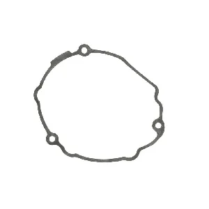 Zaptivka poklopca alternatora WINDEROSA W816510 IC-D789A4