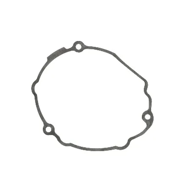 Zaptivka poklopca alternatora WINDEROSA W816510 IC-D789A4