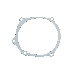 Zaptivka poklopca alternatora WINDEROSA W816517 IC-D789B3