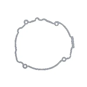 Zaptivka poklopca alternatora WINDEROSA W816532 IC-D7899A