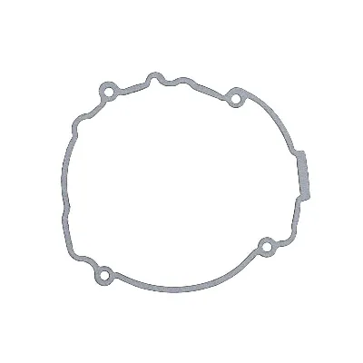 Zaptivka poklopca alternatora WINDEROSA W816532 IC-D7899A