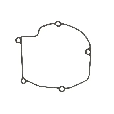 Zaptivka poklopca alternatora WINDEROSA W816546 IC-D7898C