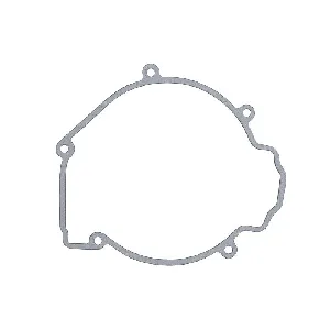 Zaptivka poklopca alternatora WINDEROSA W816566 IC-D7899C