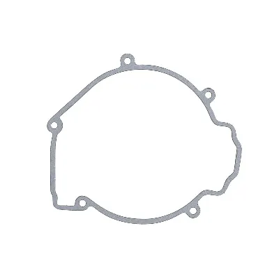 Zaptivka poklopca alternatora WINDEROSA W816566 IC-D7899C