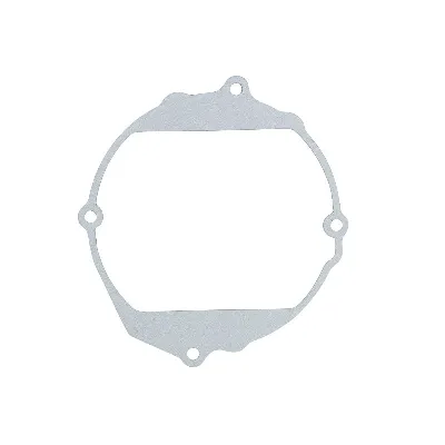 Zaptivka poklopca alternatora WINDEROSA W816602 IC-E1FE6F