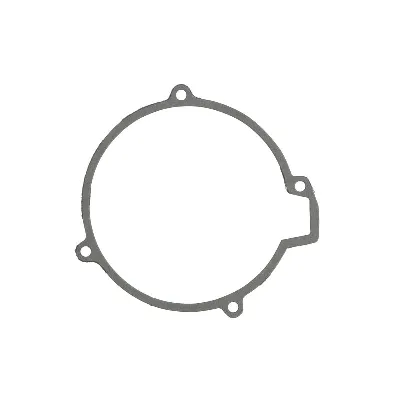 Zaptivka poklopca alternatora WINDEROSA W816613 IC-D78998