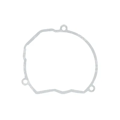 Zaptivka poklopca alternatora WINDEROSA W816629 IC-D78997