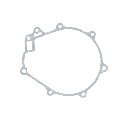 Zaptivka poklopca alternatora WINDEROSA W816663 IC-E1FE71