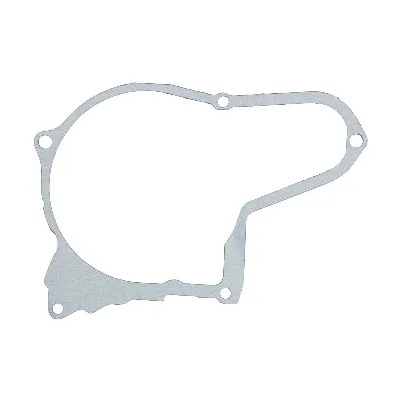 Zaptivka poklopca alternatora WINDEROSA W816664 IC-E1FE72