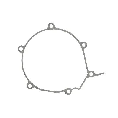 Zaptivka poklopca alternatora WINDEROSA W816669 IC-D78986