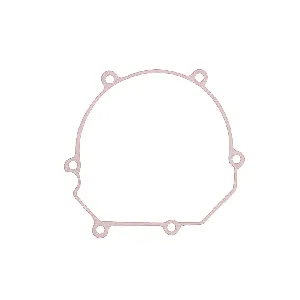 Zaptivka poklopca alternatora WINDEROSA W816670 IC-D78988