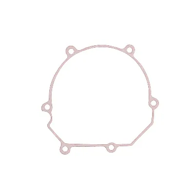 Zaptivka poklopca alternatora WINDEROSA W816670 IC-D78988