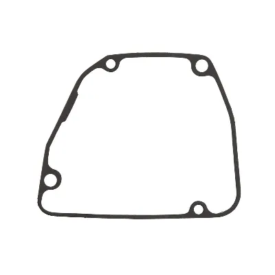 Zaptivka poklopca alternatora WINDEROSA W816676 IC-D789AD