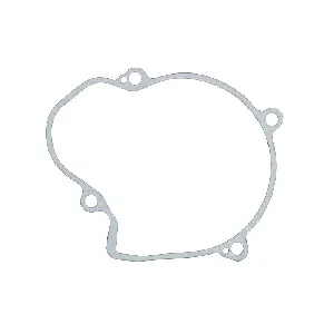 Zaptivka poklopca alternatora WINDEROSA W816684 IC-E1FE73